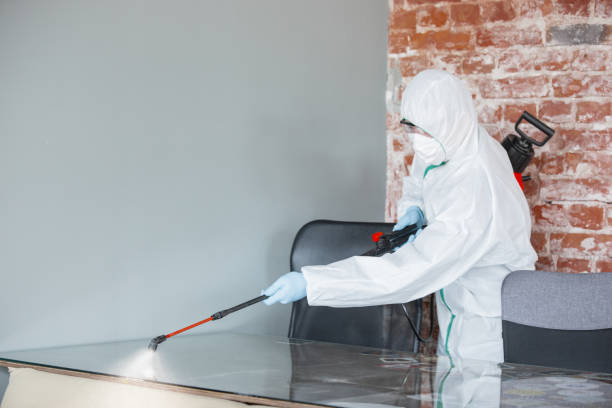 Best Attic Mold Removal  in Fort Drum, NY